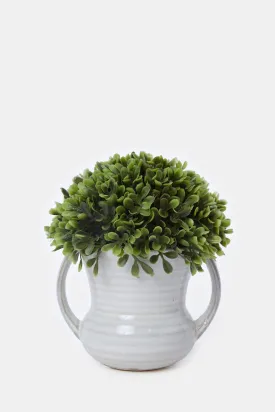 Artificial Creeper Plant In Ceramic Pot