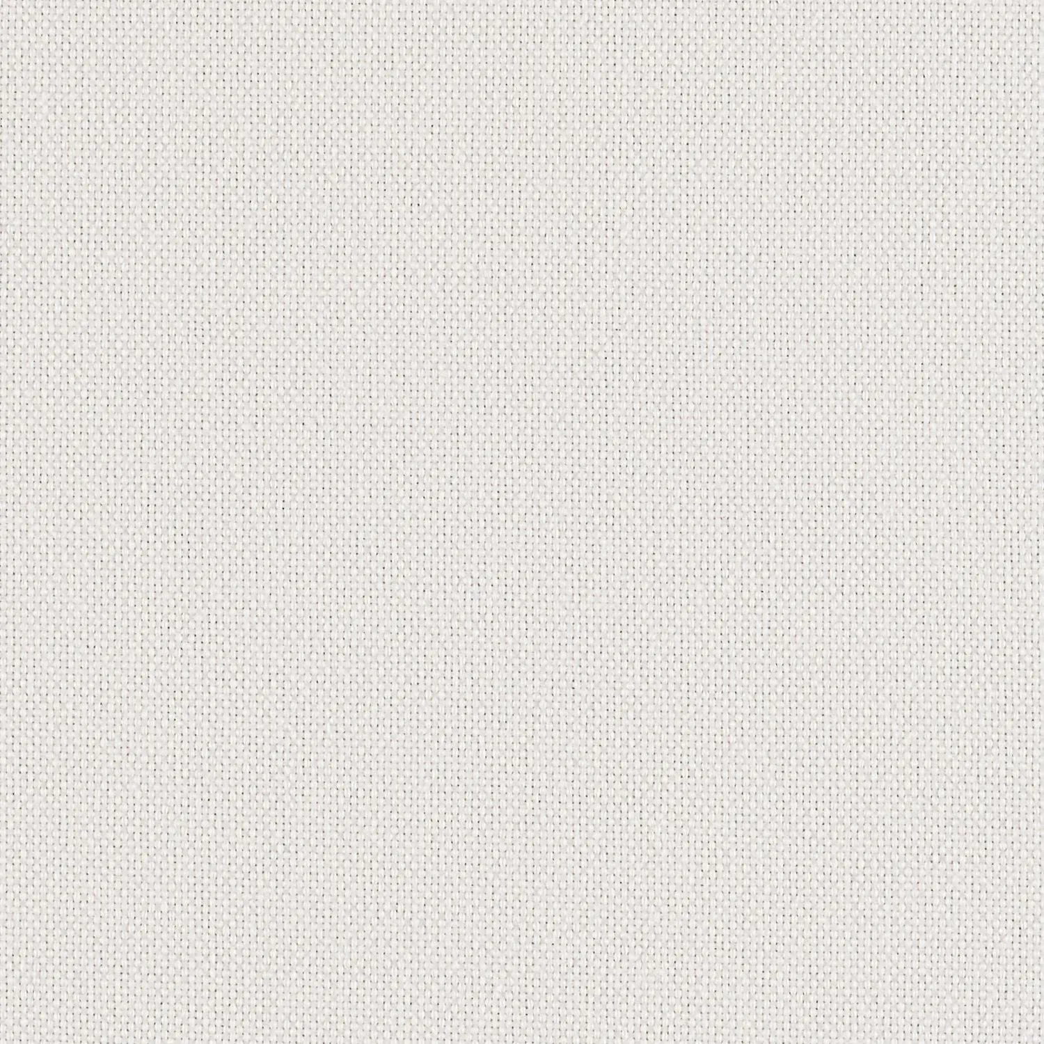 Backdrop - White Out - 1027 - 01 - Half Yard