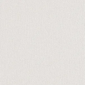 Backdrop - White Out - 1027 - 01 - Half Yard