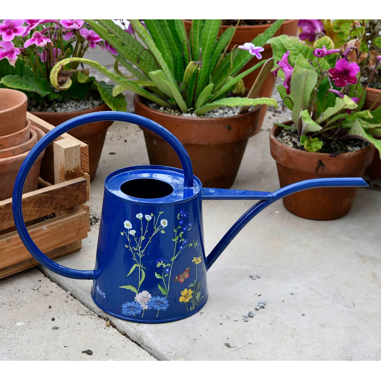 British Meadow Indoor Watering Can