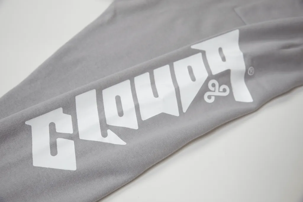 Cloud9 x PacSun Future Sweatpants. Gray