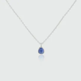 Hampton Sapphire & Sterling Silver Necklace